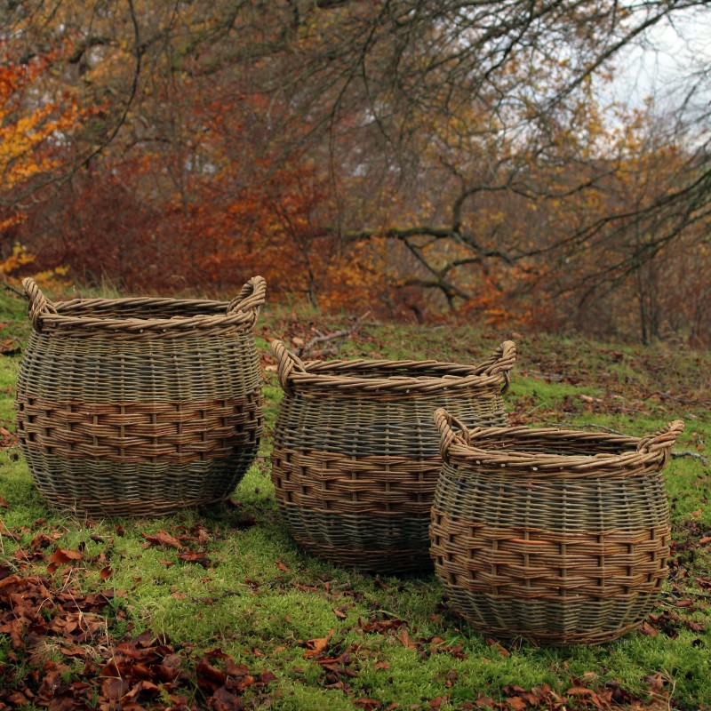 Curved Log.jpg